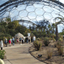 Eden Project